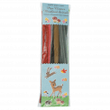 Woodland Animals Pipe Cleaner Set