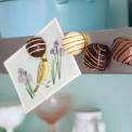 Set Of 4 Chocolate Fridge Magnets