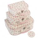 La Petite Rose Cases (set Of 3)