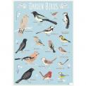 Garden Birds Wrapping Paper (5 Sheets)