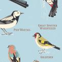 Garden Birds Wrapping Paper (5 Sheets)
