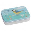 Plasters In Tin Blue Tit Design