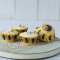 50 Honey The Hedgehog Cake Cases