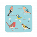 Garden Birds Coaster