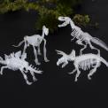 Assorted Dinosaur Skeleton Kit