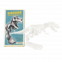 Assorted Dinosaur Skeleton Kit