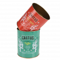 Cactus Storage Tins (set Of 2)