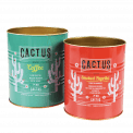 Cactus Storage Tins (set Of 2)