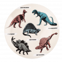 Prehistoric Land Melamine Plate