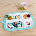 Wild Wonders Melamine Food Tray