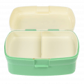 Nine Lives Lunch Box With Tray