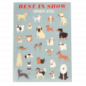 Best In Show Temporary Tattoos (2 Sheets)