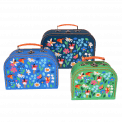 Fairies In The Garden Cases (set Of 3)