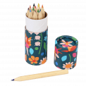 Fairies In The Garden Colouring Pencils (set Of 12)