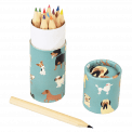 Best In Show Colouring Pencils (set Of 12)