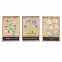 Assorted Your Garden Flower Seeds