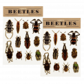 Beetles Temporary Tattoos (2 Sheets)