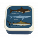Sharks snack box large