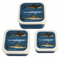 Three plastic snack boxes large medium small featuring images of sharks