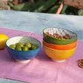 Yellow Ceramic Flamenco Bowl