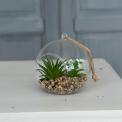Artificial ' Cactus In Glass ' Eden