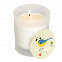 Blue Tit Boxed Scented Candle