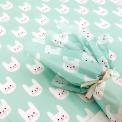 Bonnie The Bunny Tissue Paper (10 Sheets)