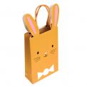 Brown Easter Bunny Bag