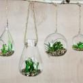 Artificial ' Cactus In Glass ' Kew