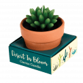 Cactus Candle In A Pot