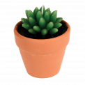 Cactus Candle In A Pot