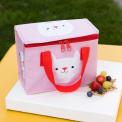 Cookie The Cat Lunch Bag