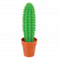 Desert In Bloom Cactus Pen