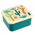 Desert In Bloom Lunch Box