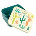 Desert In Bloom Lunch Box