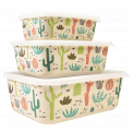 Desert In Bloom Bamboo Boxes (set Of 3)