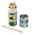 Prehistoric Land Colouring Pencils (set Of 12)