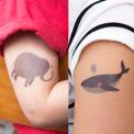 Elephant And Whale Temporary Tattoos