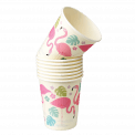 Flamingo Bay Paper Cups (set Of 8)