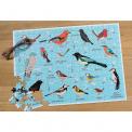 Garden Birds 300 Piece Puzzle In A Tube