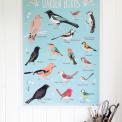 Garden Birds Wrapping Paper (5 Sheets)