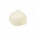 Garlic Saver