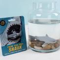 Grow Your Own Shark