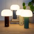 USB rechargeable mushroom touch lamps