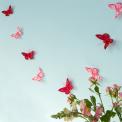 A string garland decorated with colourful feather butterflies hanging against a light background.