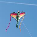 A giant dragon kite. Designed in a fantasy-inspired style with vivid colours and streaming ribbon tails