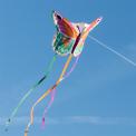 Flying a giant kite, Featuring a vibrant butterfly design with colourful wings and long flowing ribbon tails