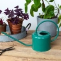 Green metal watering can with curved handle and long spout.