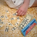 Wild bear dominoes tin set