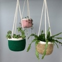 Alt text: Seagrass hanging basket with loop, shown with plants and different coloured.